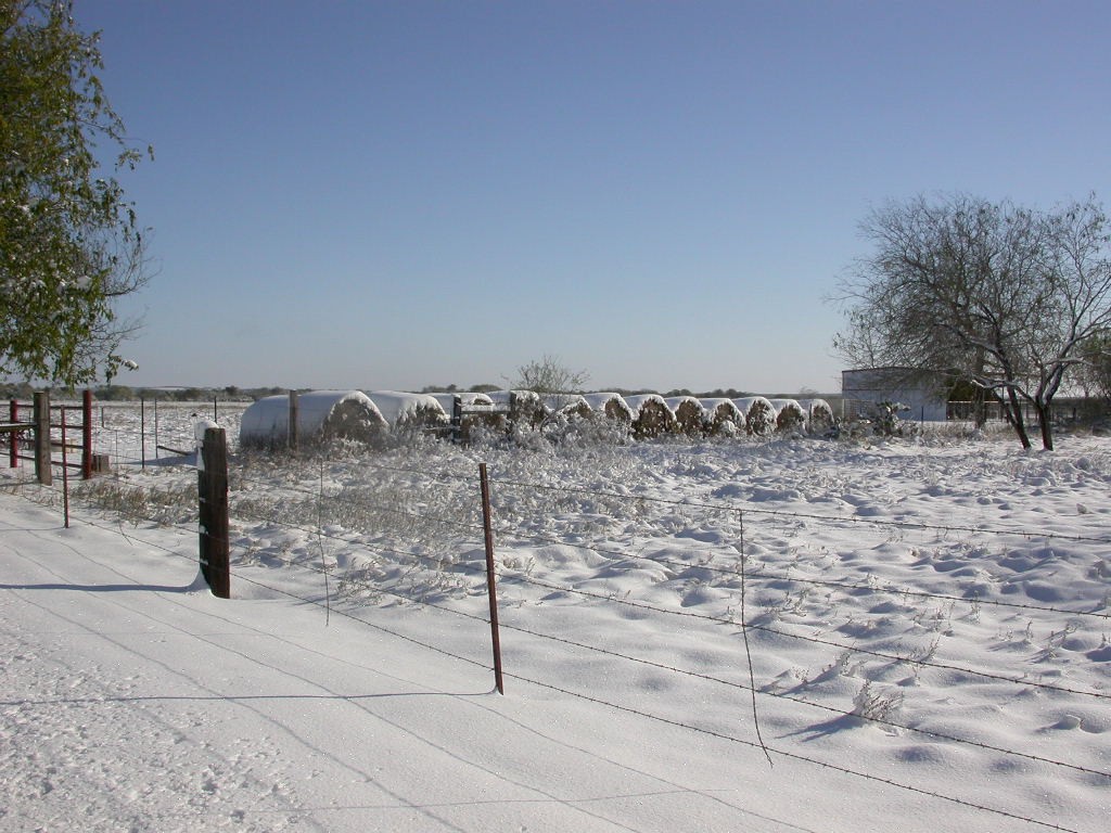 Shirley Boucher Snow in Swinney Switch (Lake Corpus Christi